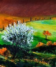 Pol Ledent Tuscany 561170 Hi End Print On Canvas