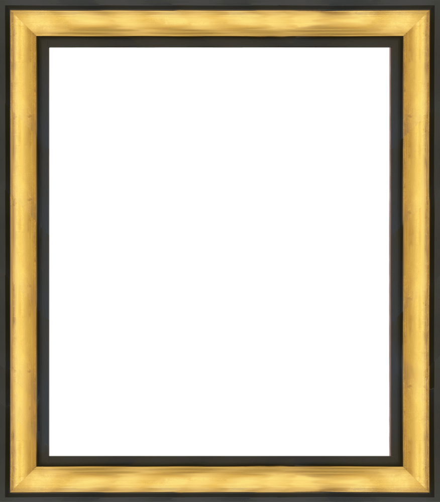 Gold Luminoso and Black Custom Stacked Frame 20" X 24"