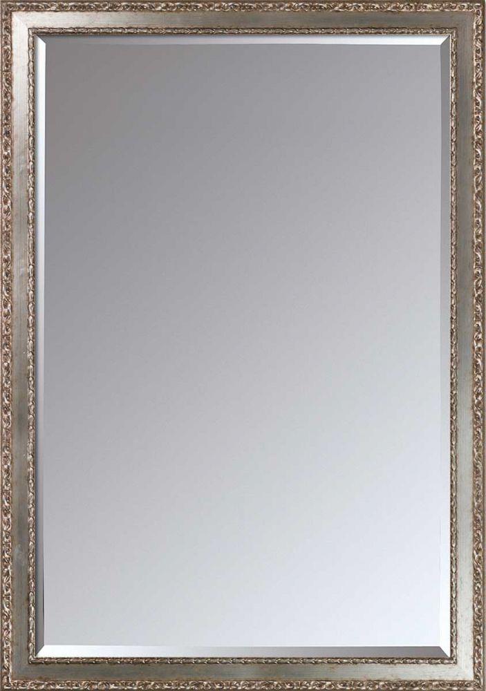 Versailles Silver Salon Framed Mirror
