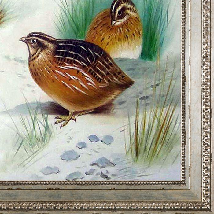French Partridge and Chicks, 1915 Pre-Framed - Versailles Silver King Frame 24" X 36"