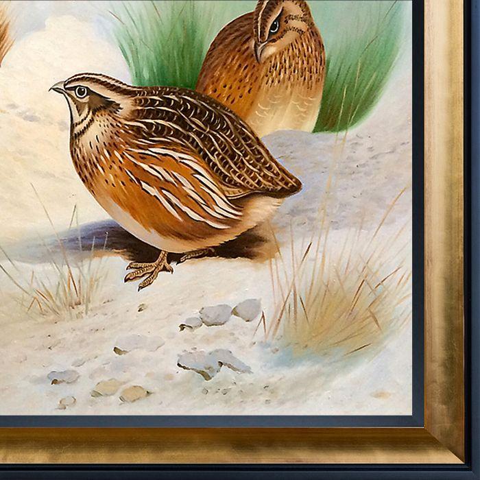 French Partridge and Chicks, 1915 Pre-Framed - Gold Luminoso and Black Custom Stacked Frame 24" X 36"