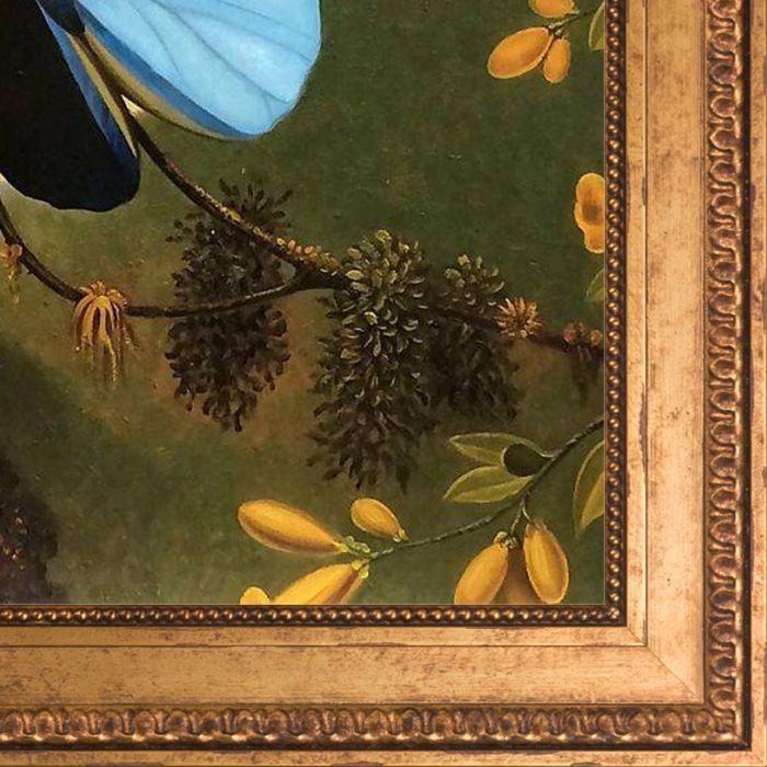 Blue Morpho Butterfly Pre-Framed - Versailles Gold King Frame 20" X 24"