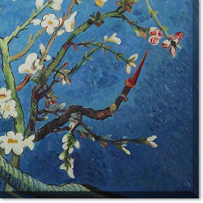 Branches of an Almond Tree in Blossom Gallery Wrap - Gallery Wrap 30"X40"