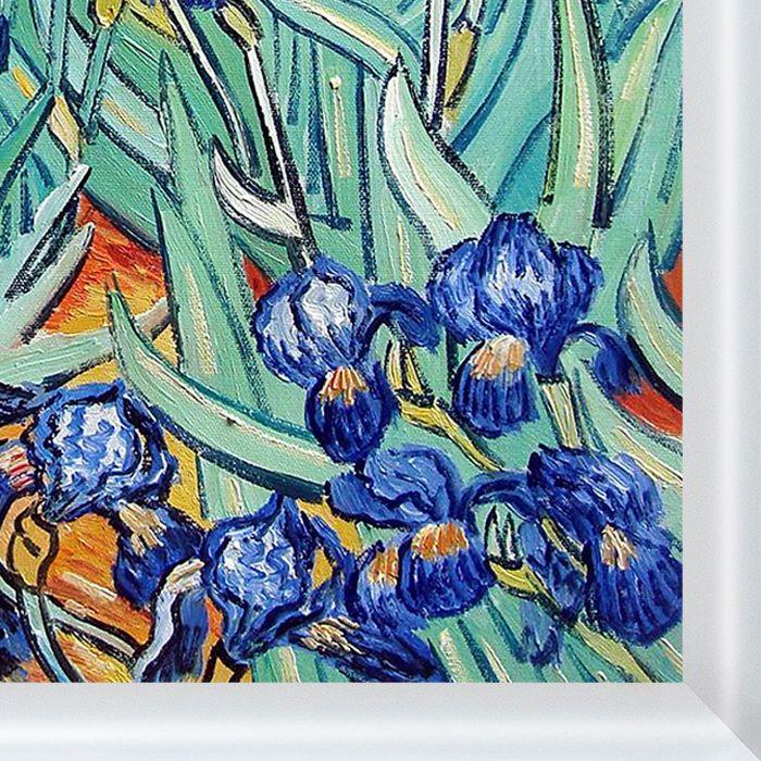 Irises Pre-Framed - Moderne Blanc Frame 20" X 24"