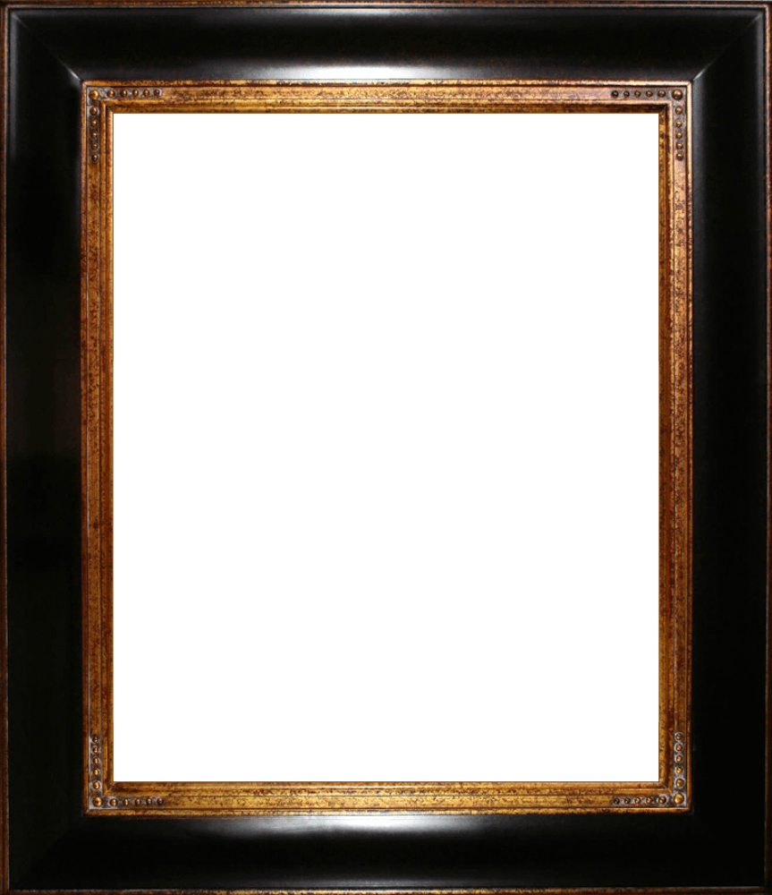 Opulent Frame 20"X24"