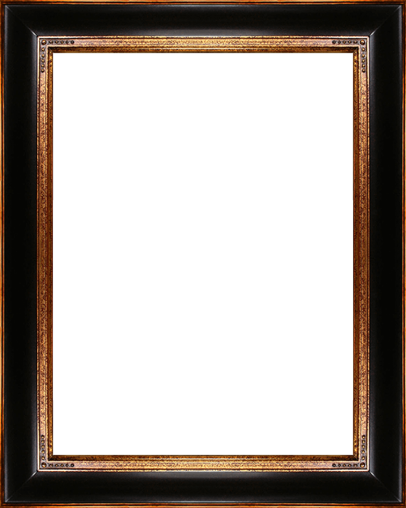 Opulent Frame 30"X40"