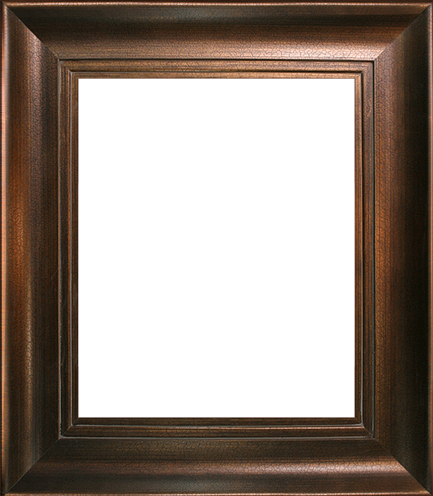 Da Vinci Aged Auburn Frame 20"X24"