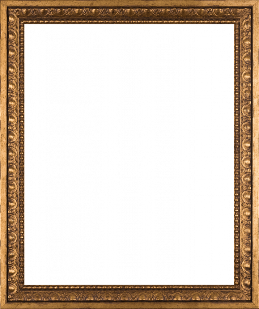 Versailles Gold Frame 16" X 20"