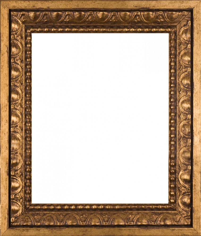 Versailles Gold Frame 8" X 10"