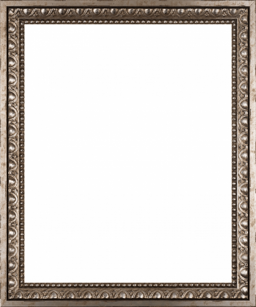 Versailles Silver Frame 16