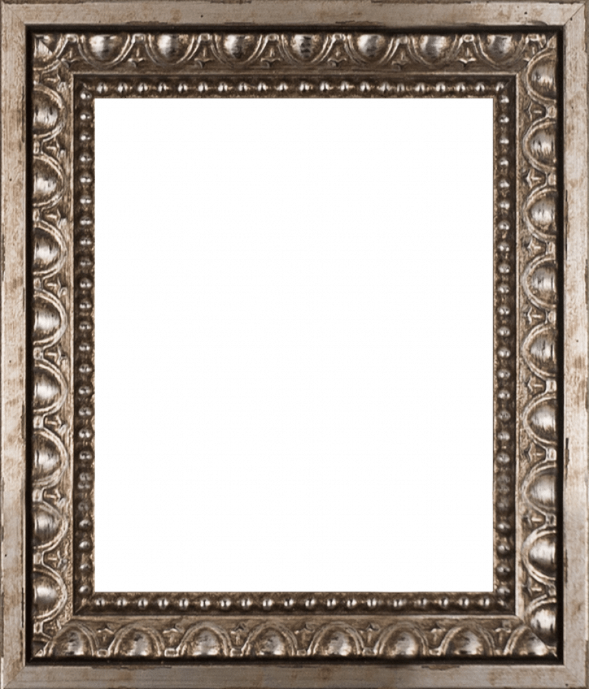Versailles Silver Frame 8
