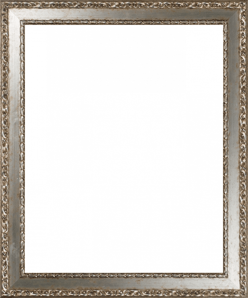 Versailles Silver Salon Frame 16" X 20"