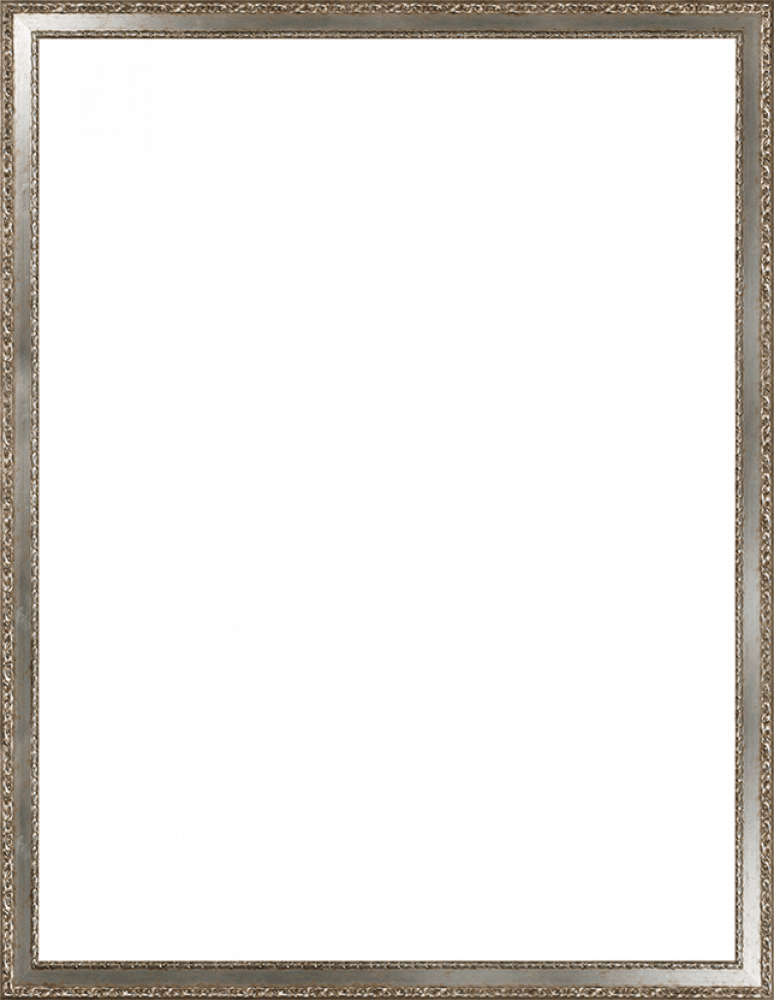 Versailles Silver Salon Frame 36"X48"