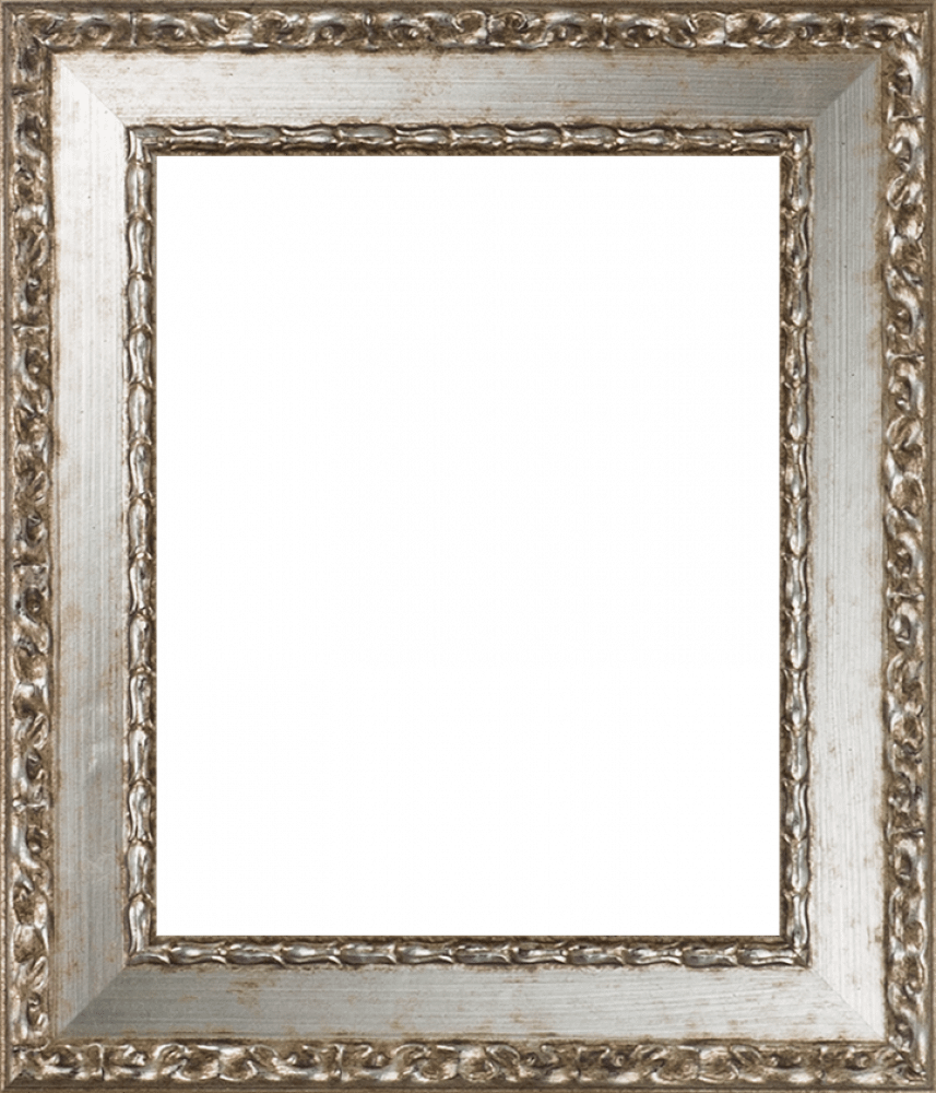 Versailles Silver Salon Frame 8"X10"