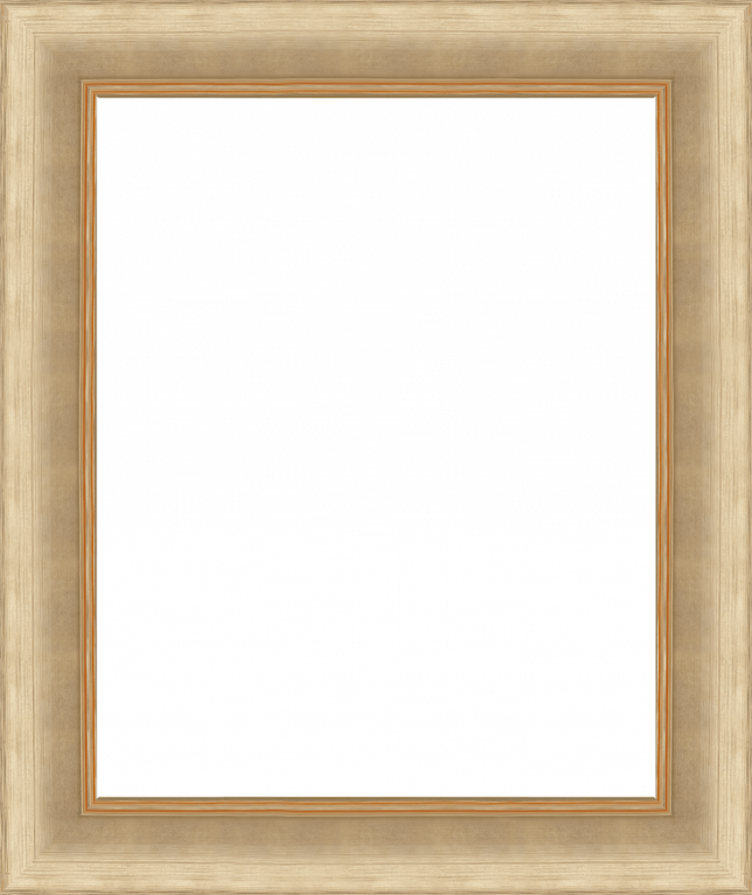 Andover Champagne Frame 16" X 20"