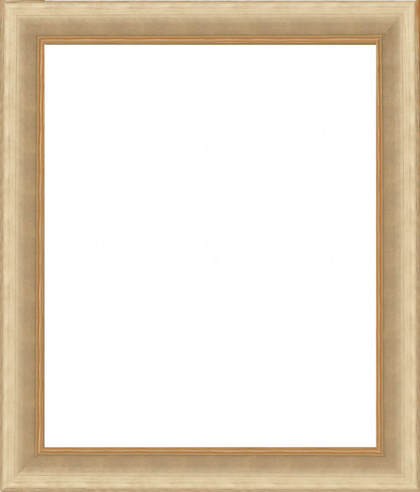 Andover Champagne Frame 20" X 24"