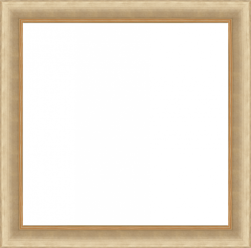 Andover Champagne Frame 24" X 24"
