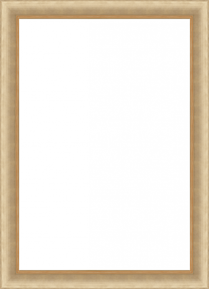 Andover Champagne Frame 24" X 36"