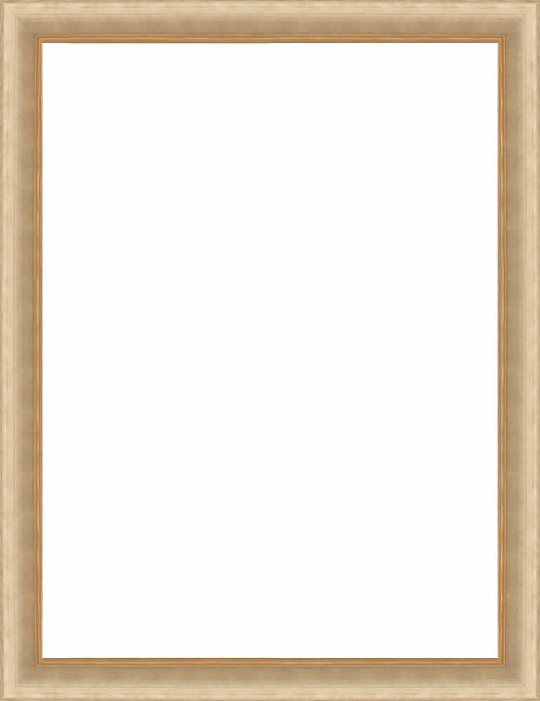 Andover Champagne Frame 30" X 40"