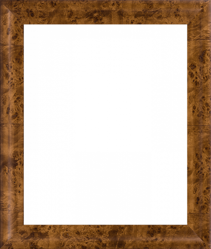 Burlwood Gallery Frames, 20x24