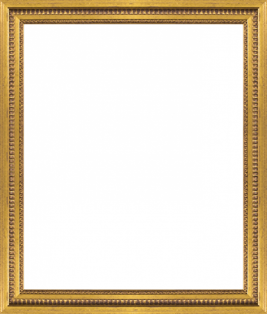 Versailles Gold Queen Frame 20" X 24"