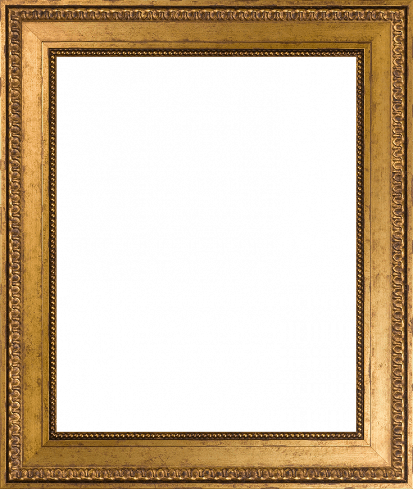 Versailles Gold King Frame 16" X 20"