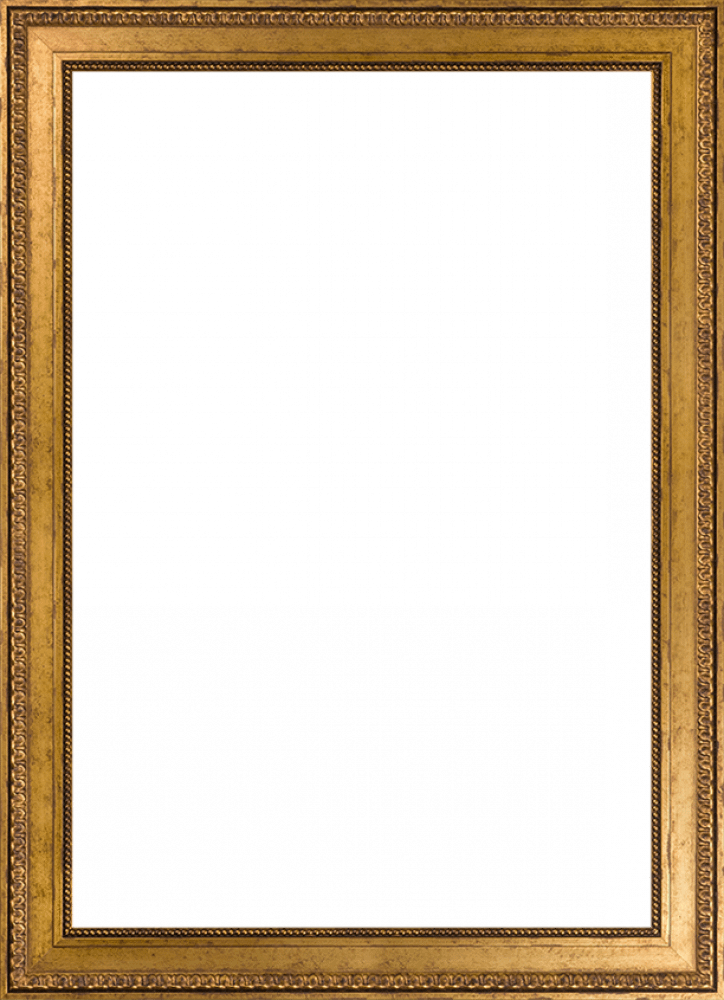 Versailles Gold King Frame 24" X 36"