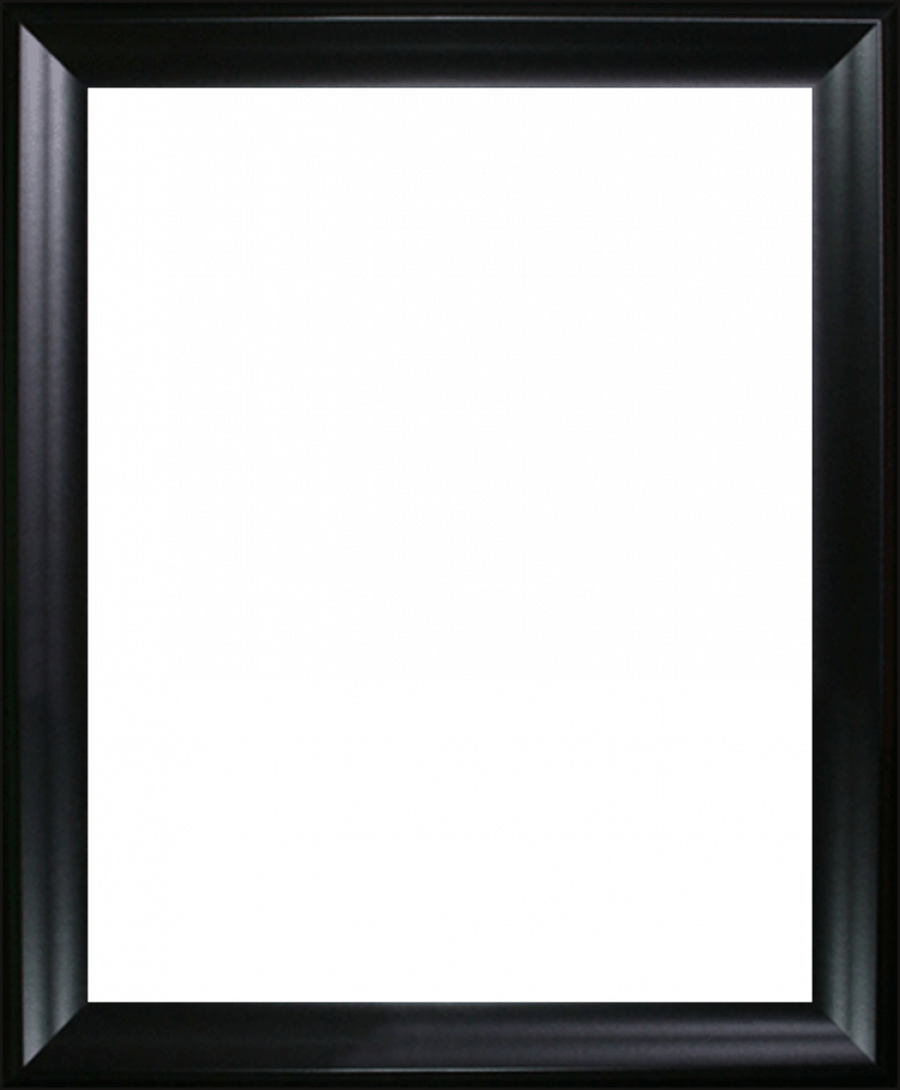 Black Matte Frame 16"X20"