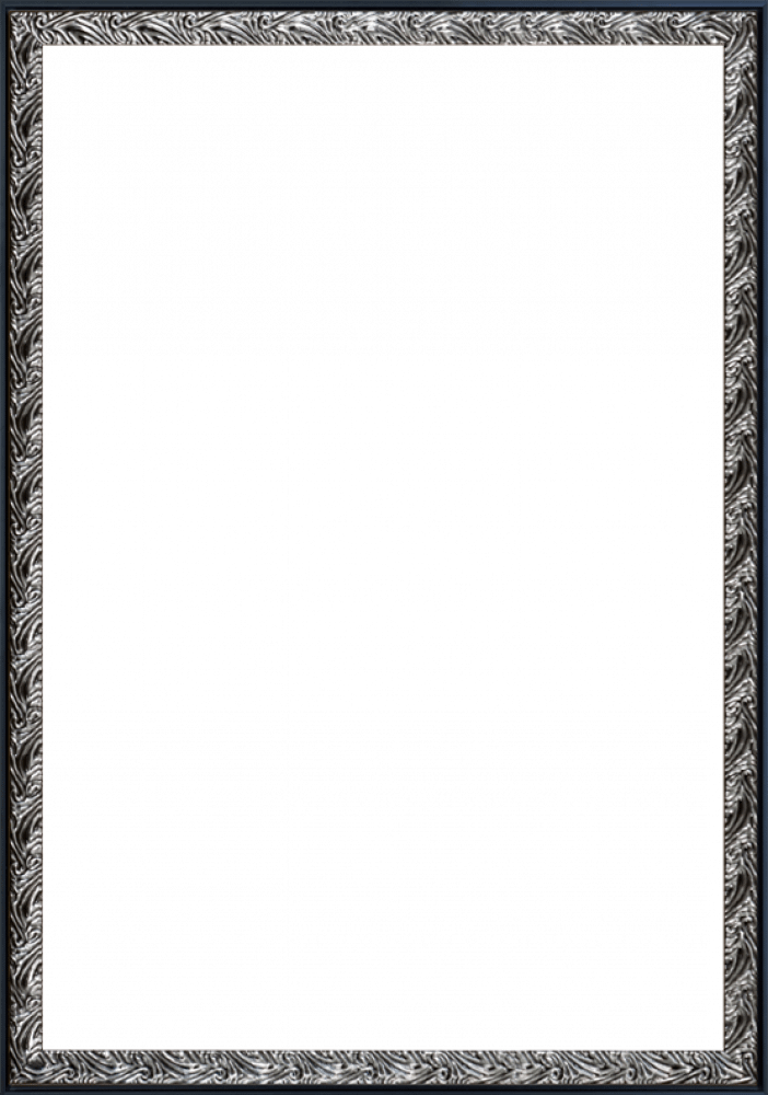 Ornate Silver and Black Custom Stacked Frame 24" X 36"