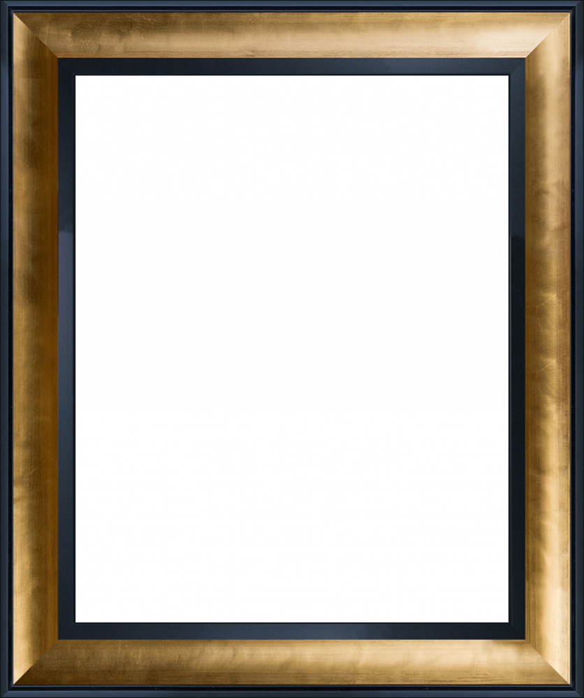 Gold Luminoso and Black Custom Stacked Frame 16" X 20"