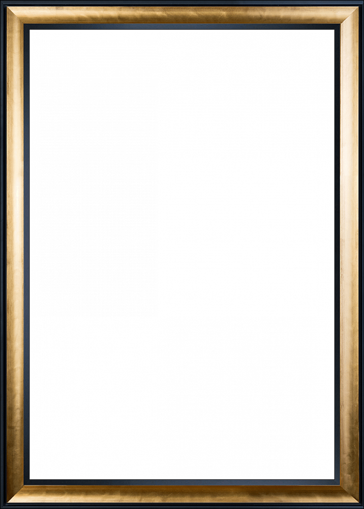 Gold Luminoso and Black Custom Stacked Frame 24" X 36"