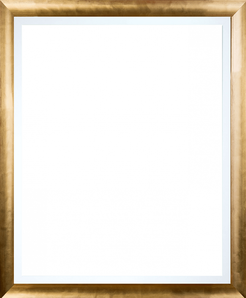 Gold Luminoso with Studio White Custom Stacked Frame 16" X 20"