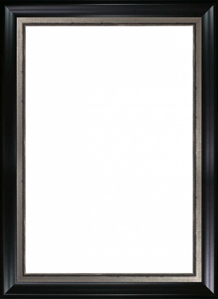 Black Matte and Burnished Silver Custom Stacked Frame 24" X 36"