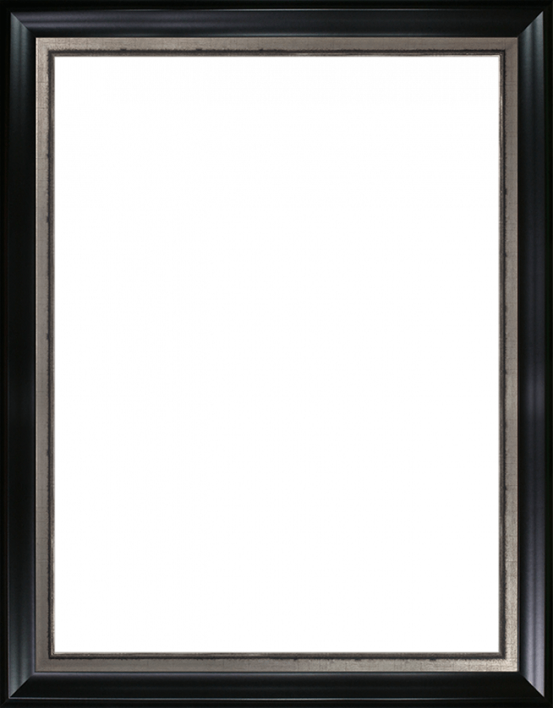 Black Matte and Burnished Silver Custom Stacked Frame 30"X40"
