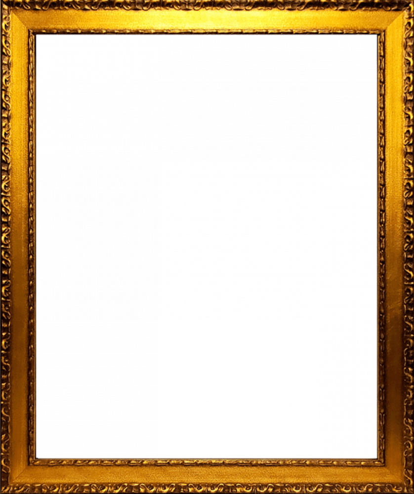 Verona Gold Braid Frame 16"X20"
