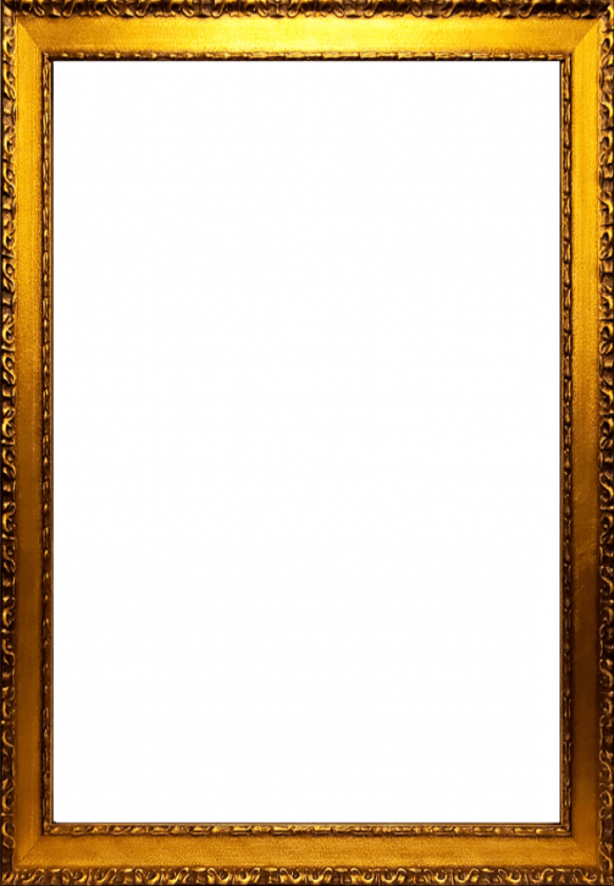 Verona Gold Braid Frame 24"X36"