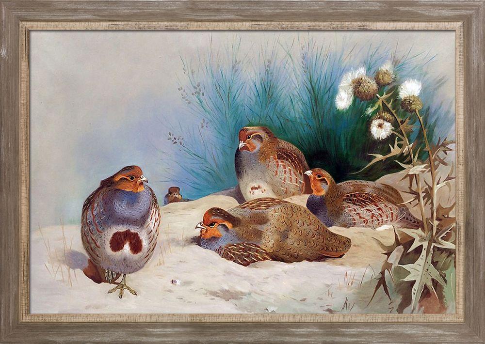 English Partridge with Gorse and Thistles Pre-Framed - Miramar Distressed Charcoal Grey Frame 24" X 36"