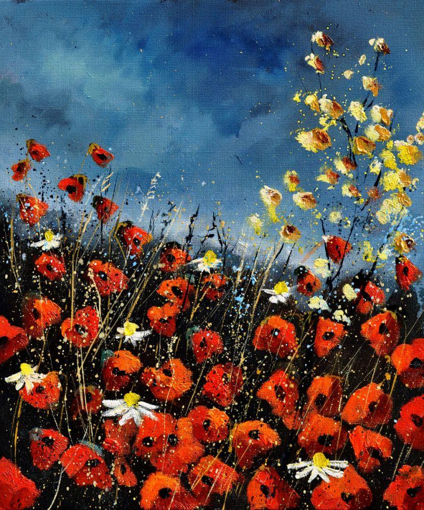 Red Poppies (451140)