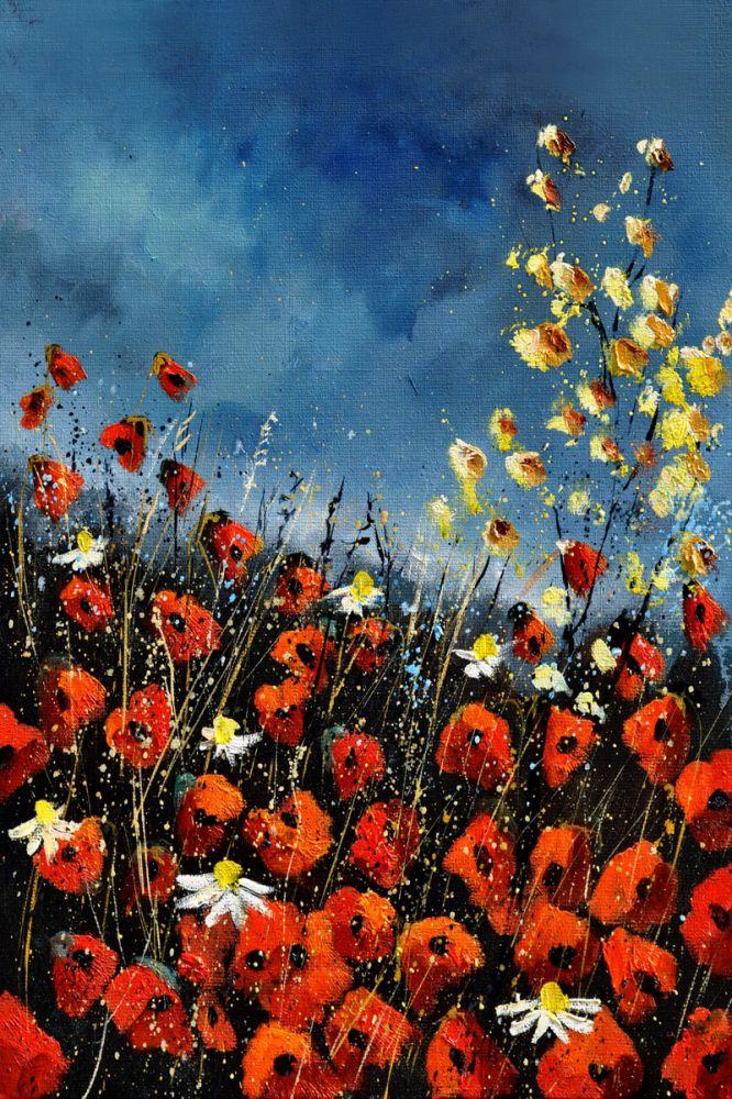 Red Poppies (451140)