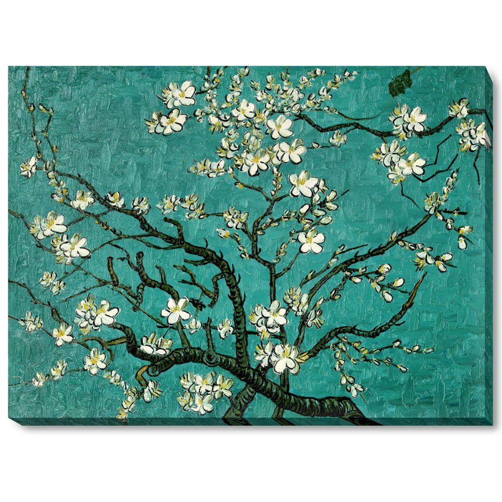 Branches of an Almond Tree in Blossom Gallery Wrap - Gallery Wrap 30"X40"