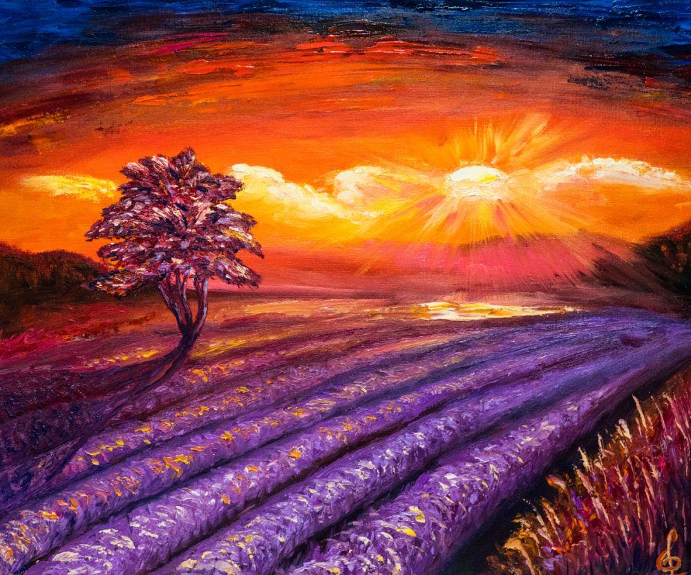 Lavender Field at Sunset 1
