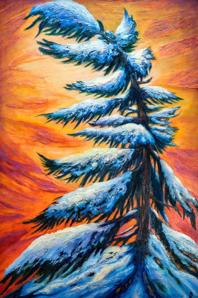 Pine Tree Winter Portrait