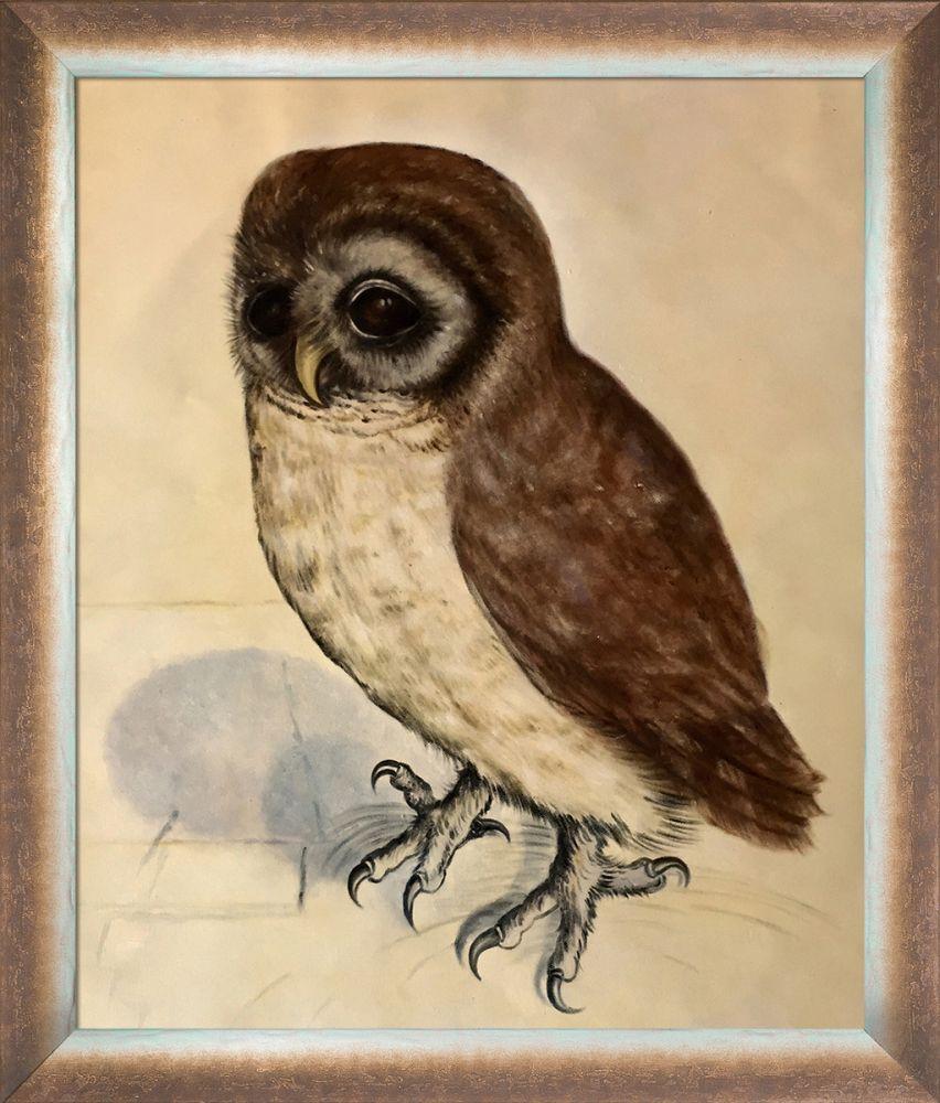The Little Owl Pre-Framed - Spoleto Bronze 20" X 24"