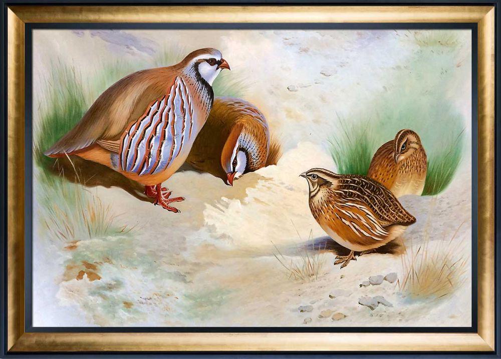 French Partridge and Chicks, 1915 Pre-Framed - Gold Luminoso and Black Custom Stacked Frame 24" X 36"