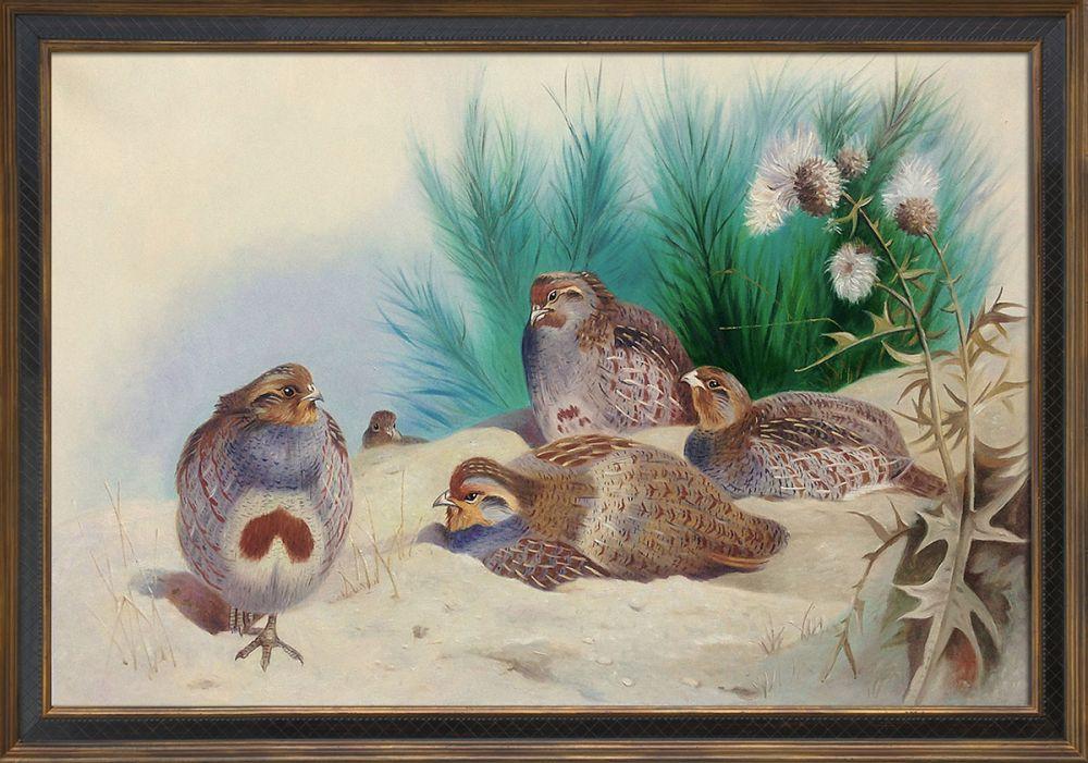 English Partridge with Gorse and Thistles, 1915 Pre-Framed - Cottage Oak 24"X36"