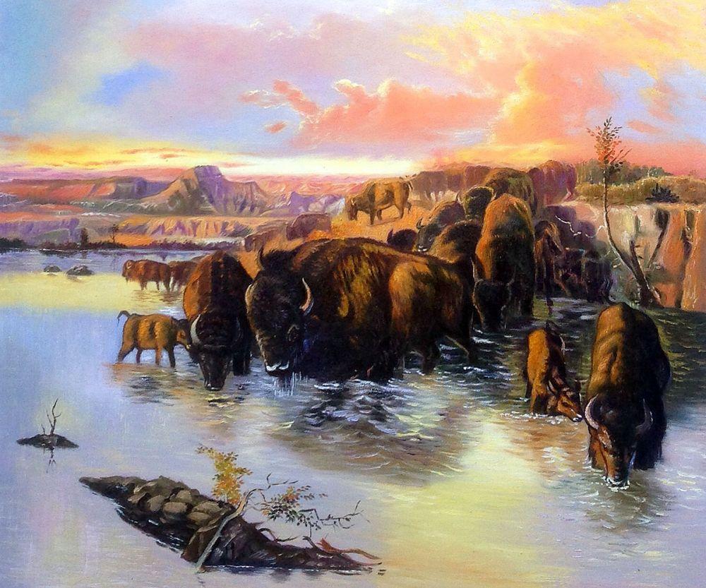 The Buffalo Herd