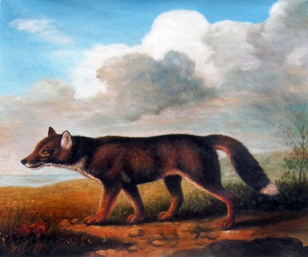 Portrait of a Large Dog
