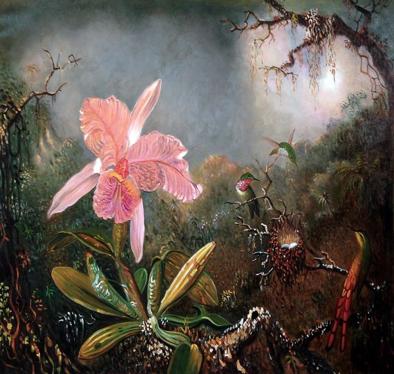 Martin Johnson Heade, Cattleya Orchid and Three Hummingbirds, 1871 ...