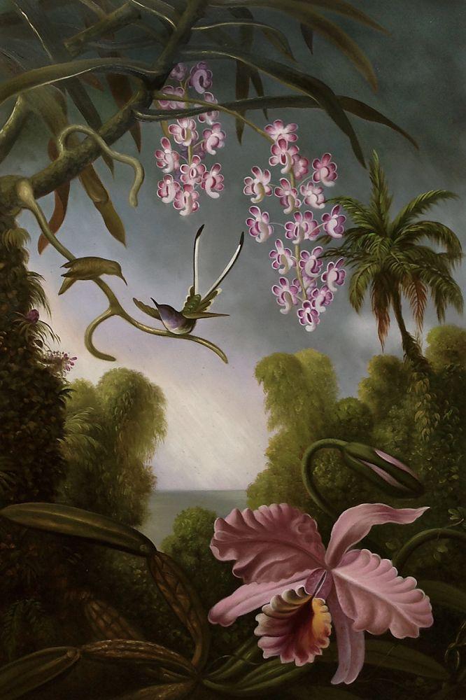 Orchids and Spray Orchids with Hummingbird, 1890