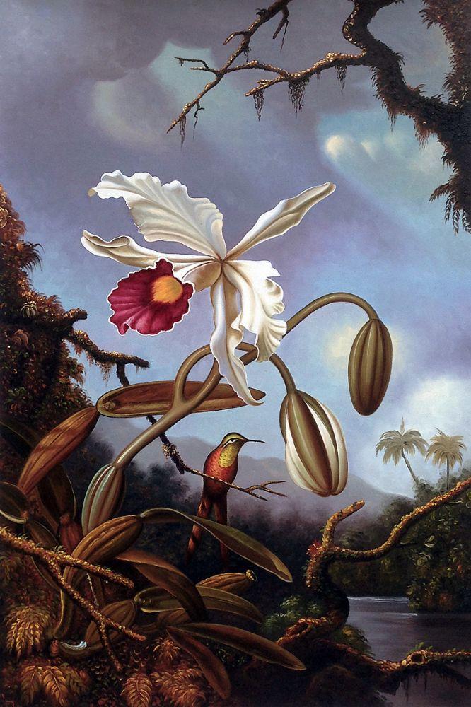 White Brazilian Orchid, 1875-1890